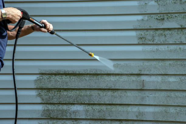 Best House Exterior Washing  in Vonore, TN